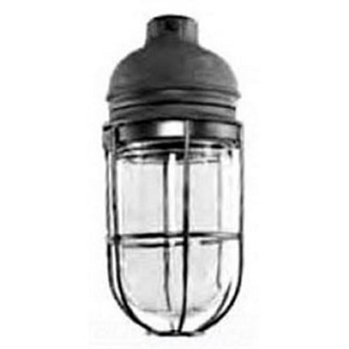 V-51 Series Enclosed and Gasketed Incandescent Luminaire With Guard; 60 - 150 Watt, 1-Lamp, Pendant Mount