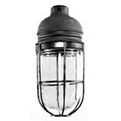 VA2050G-M Lighting Fixture With Guard, (1) PS30 Lamp, 150 to 300 W Fixture, 150 V AC, Triple Coat Housing