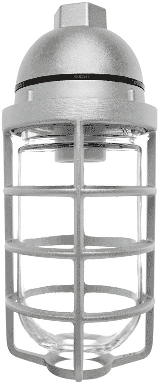 VP100DG HID Vaporproof Pendant Fixture With Glass Globe,) A19 Lamp, 100 W Fixture