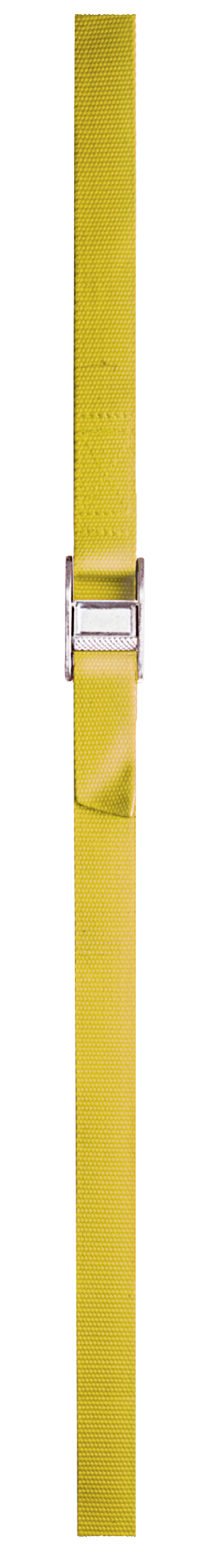 WS04 6775 Rustproof Weatherproof Web Strap, 750 lb Load, 1 in Dia x 4 ft L, Cam-Action Buckle End Style, Nylon Strap