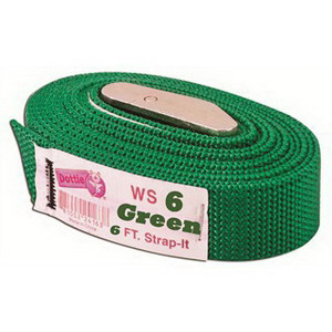 WS06 6775 Rustproof Weatherproof Web Strap, 750 lb Load, 1 in Dia x 6 ft L, Cam-Action Buckle End Style, Nylon Strap