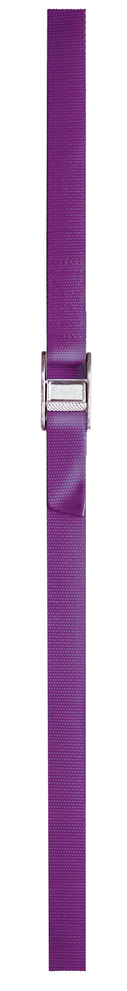 WS08 6775 Rustproof Weatherproof Web Strap, 750 lb Load, 1 in Dia x 8 ft L, Cam-Action Buckle End Style, Nylon Strap