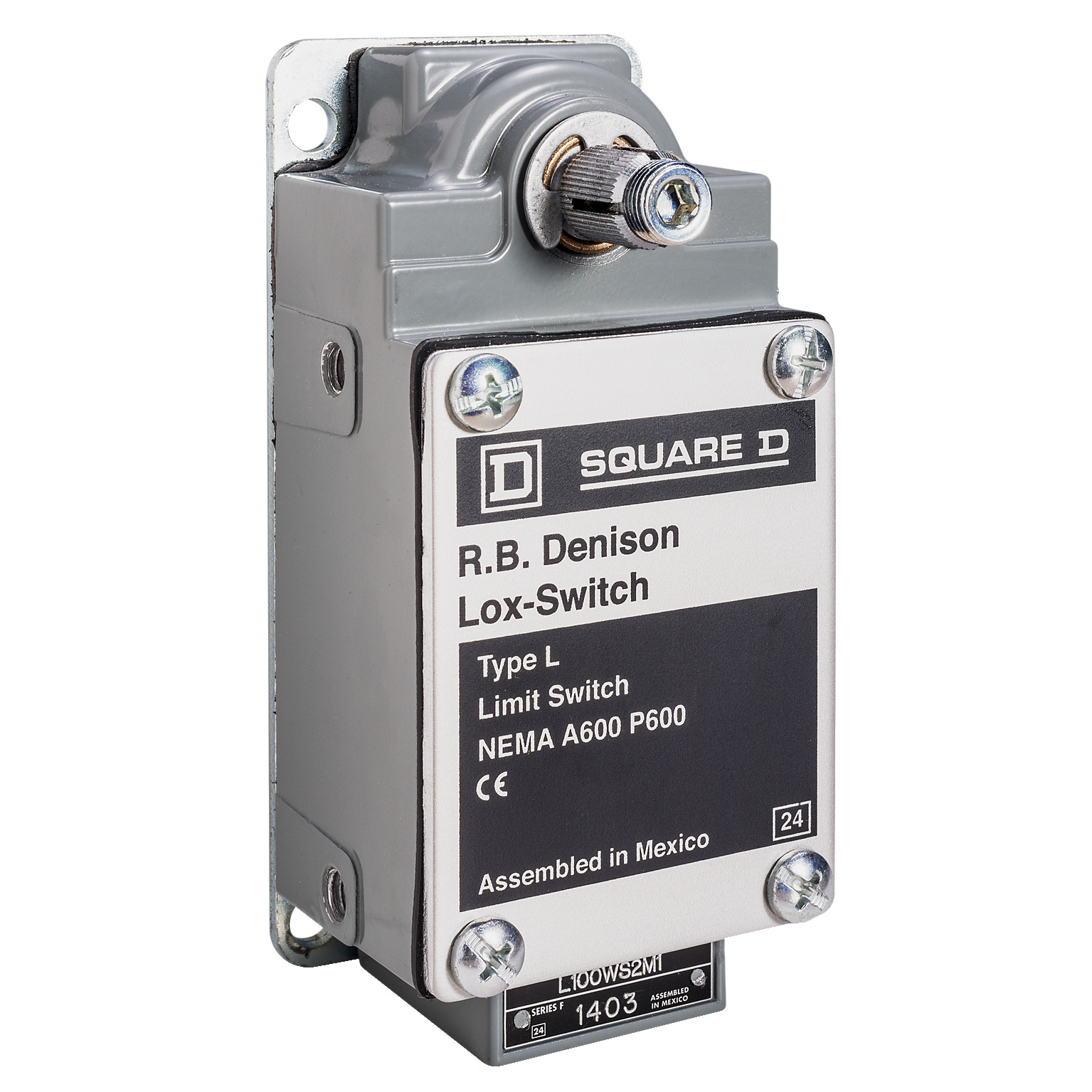 L100WDR2M6 Severe Duty Mill Fixed Limit Switch, 600 VAC, 10 A, 2NO Contact, 2 Poles