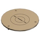 Cover Plate for Flush Service Floor Boxes, 2-13/16 Inch Diameter, 3/4 Inch and 2 Inch NPS Plug Size, Aluminum