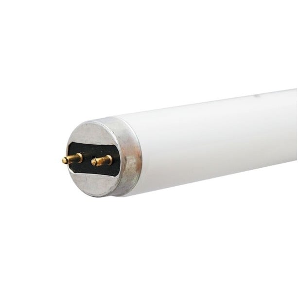 F32T8/841/PRO/EC Linear Fluorescent Lamp, 32 W, G13 Lamp, 2925 Lumens, 85 CRI, 4100 K, 48 in L