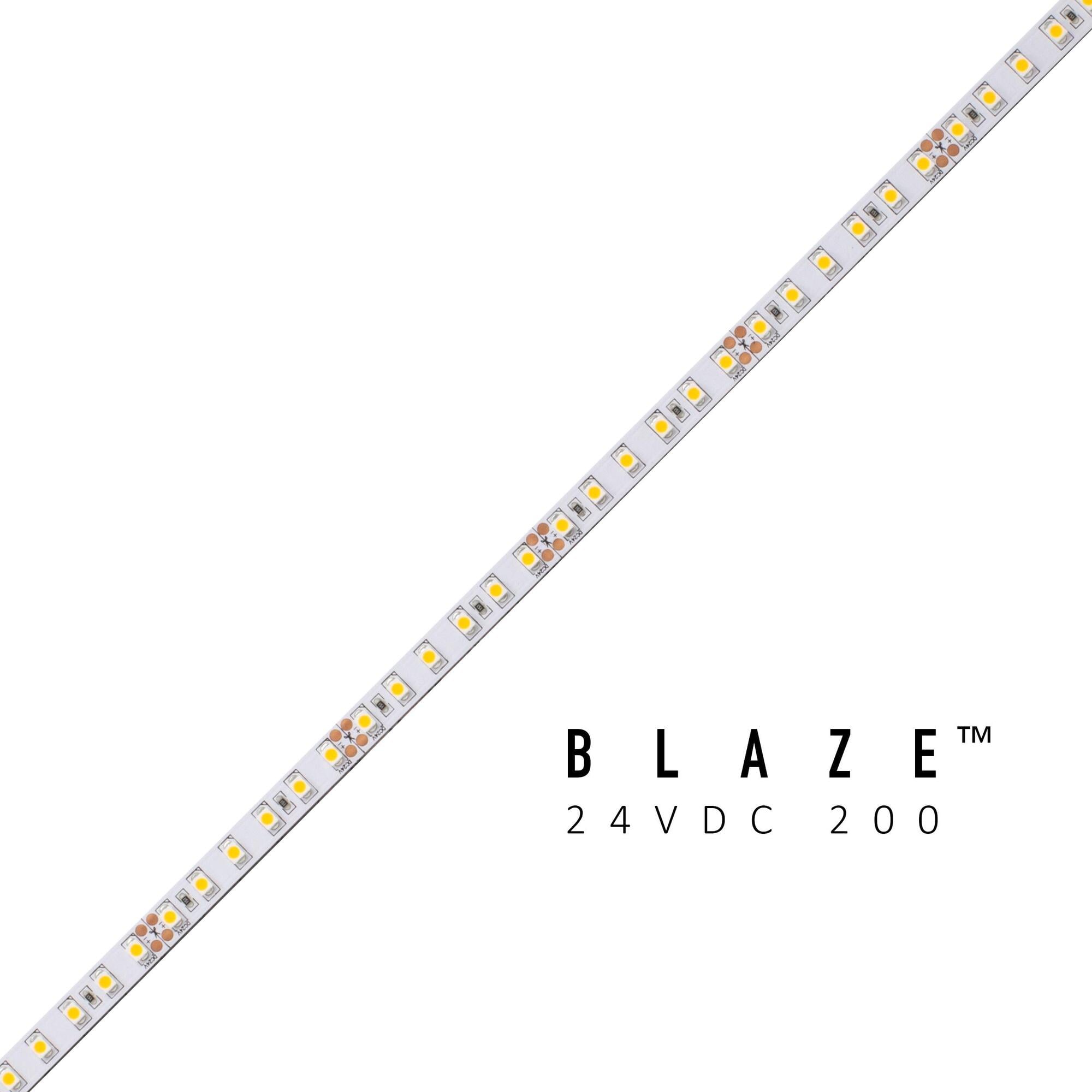 BLAZE 200 LED Tape Light, 24V, 4200K, 100 ft. Spool