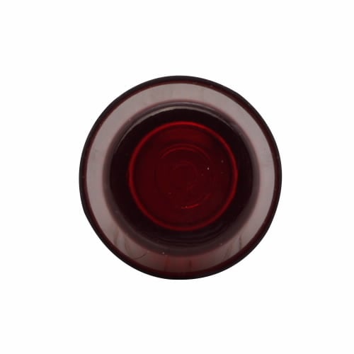 E34P9 Corrosion-Resistant Watertight/Oiltight Pushbutton Lens, 30.5 mm, Circular Shape, Blank Legend, Glass