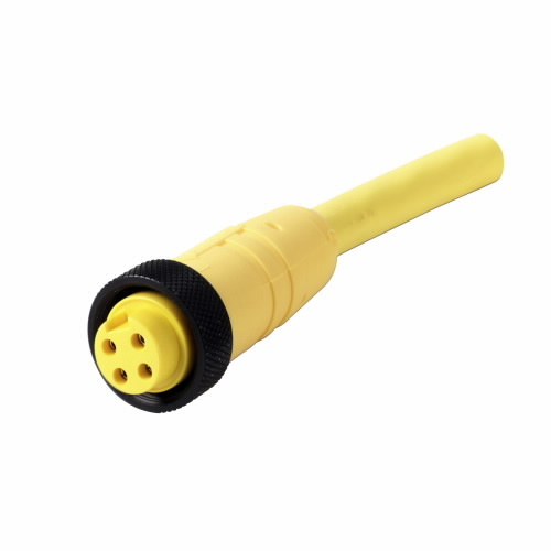 CSMS4F4CY1602 Global Plus 4-Wire Single End Photoelectric Sensor Cable Connector, 2-Pin Mini-Style Straight Female Connector, 6-1/2 ft L Cable, 4 Poles, 1 Keyway