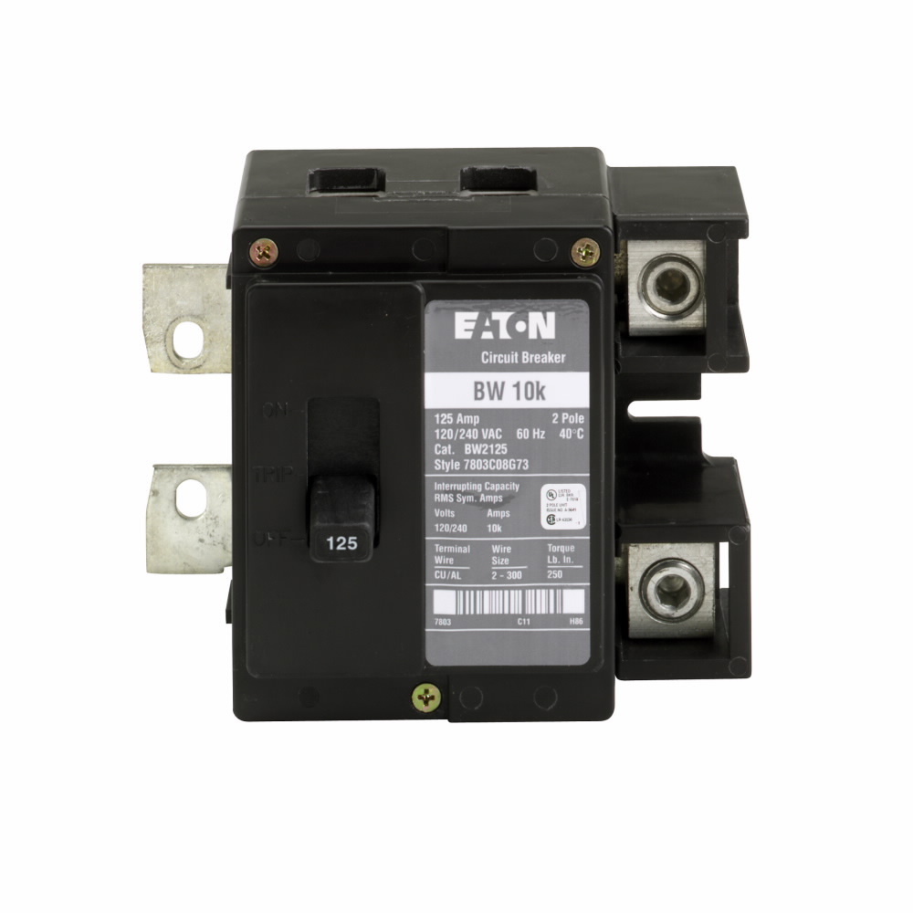 BW2125 Type BW Circuit Breaker, 120/240 V AC, 125 A, 10 kA Interrupt, 2 Poles