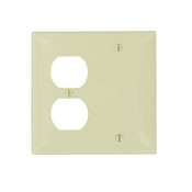 N138-I Standard Size Combination Wallplate, Ivory