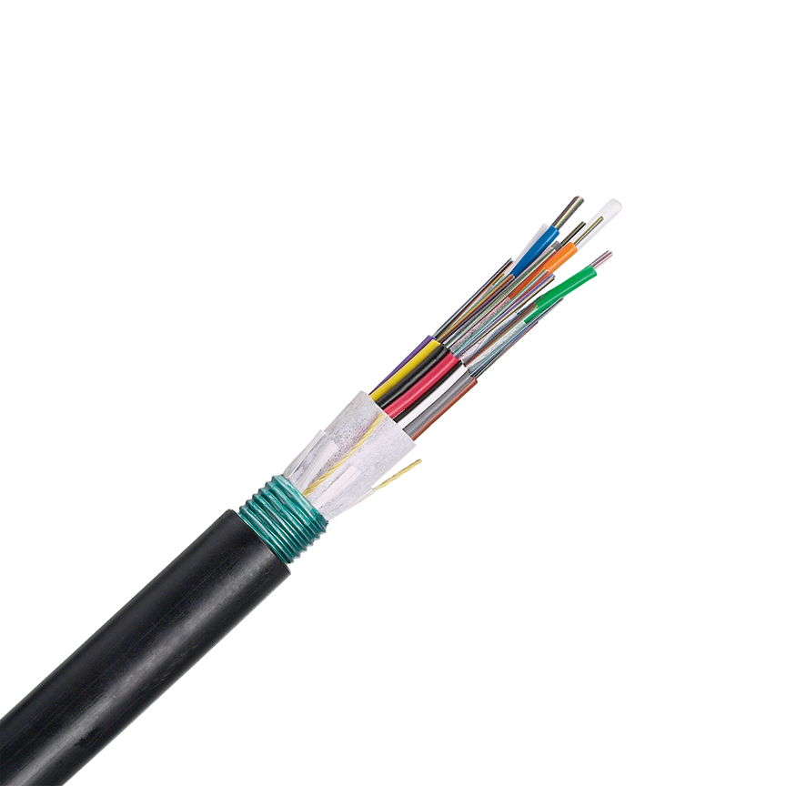 FOWNZ06 10Gig OM4 Gel-Free Multi-Mode Fiber Optic Cable, (6) Fiber, 50 um Core, Armored Conductor