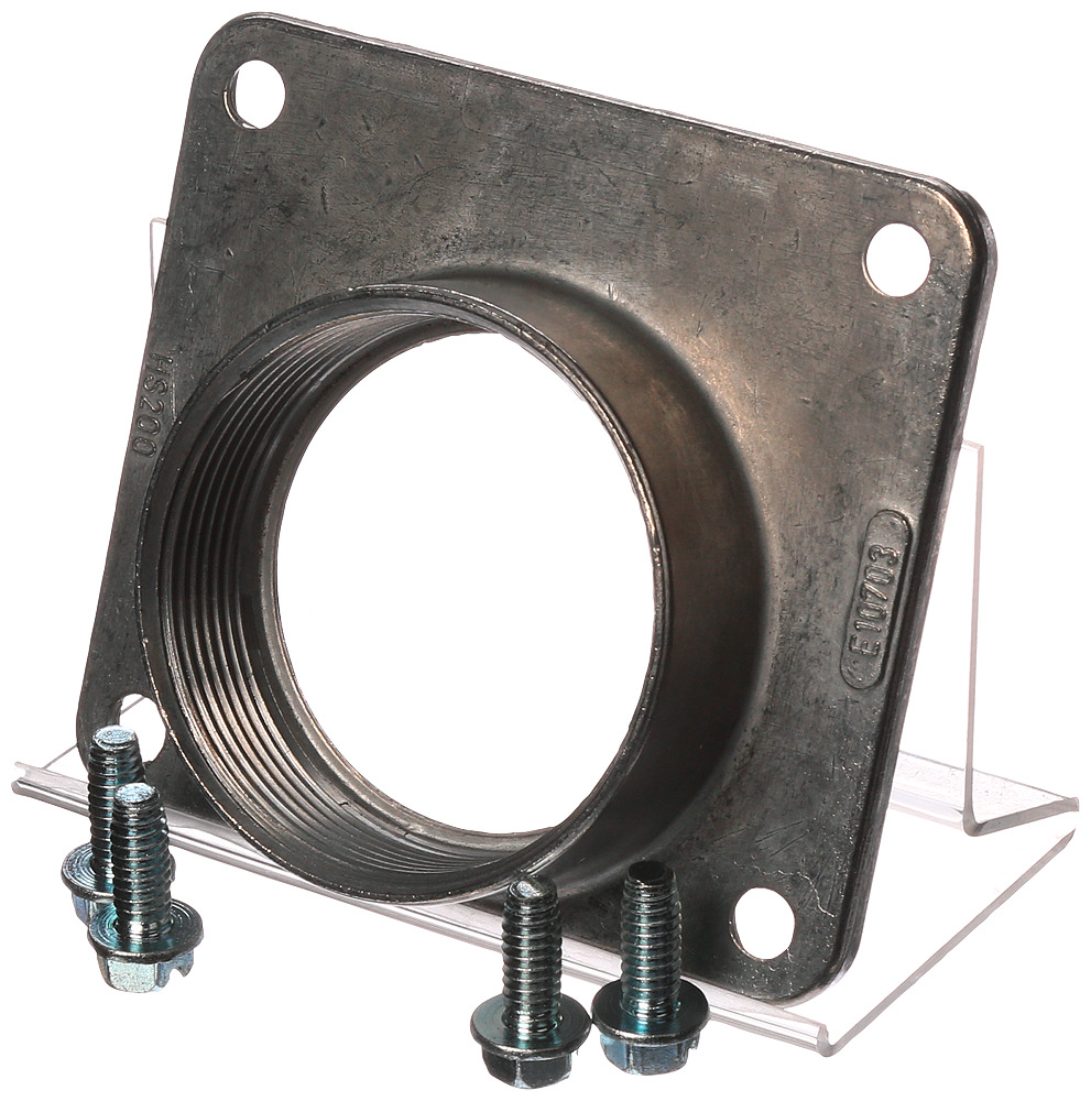 ECHS200 Type 3R Rain Hub, 2 in, Aluminum/Steel
