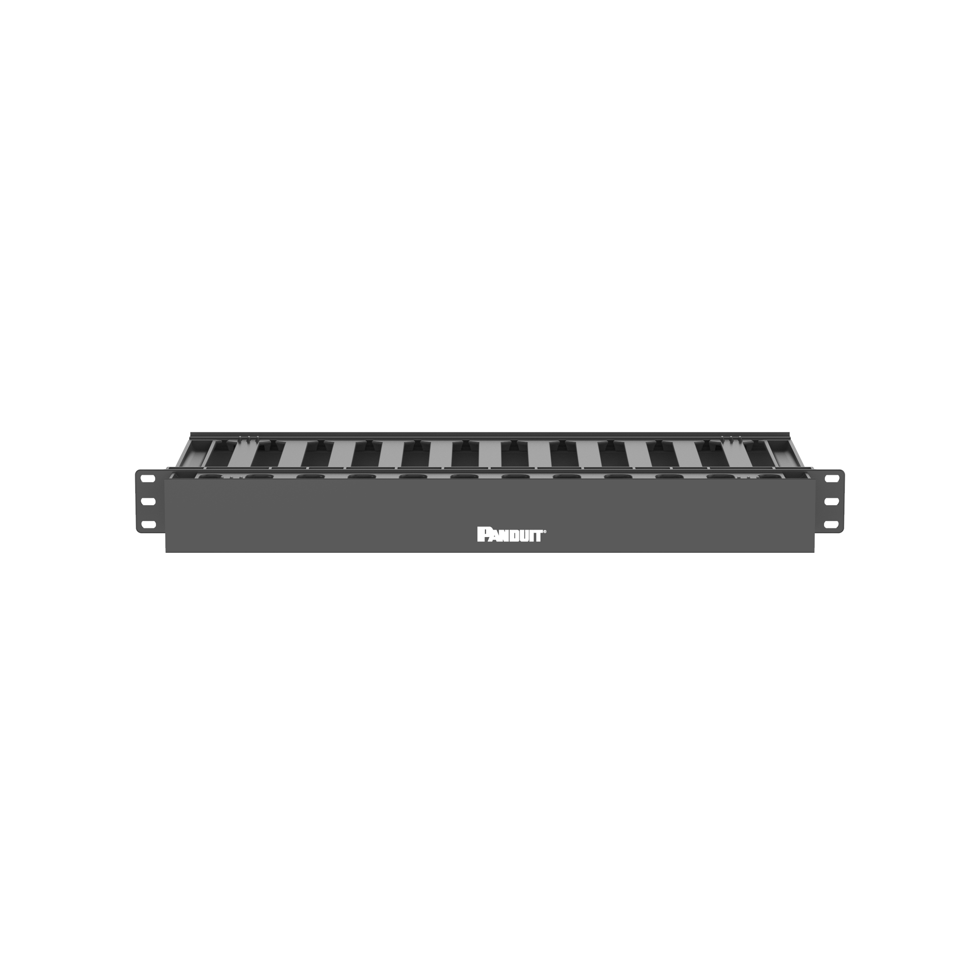 WMPLSE PatchLink 1RU 2-Sided Horizontal Cable Manager, 19 in W x 7.9 in D, ABS, Black