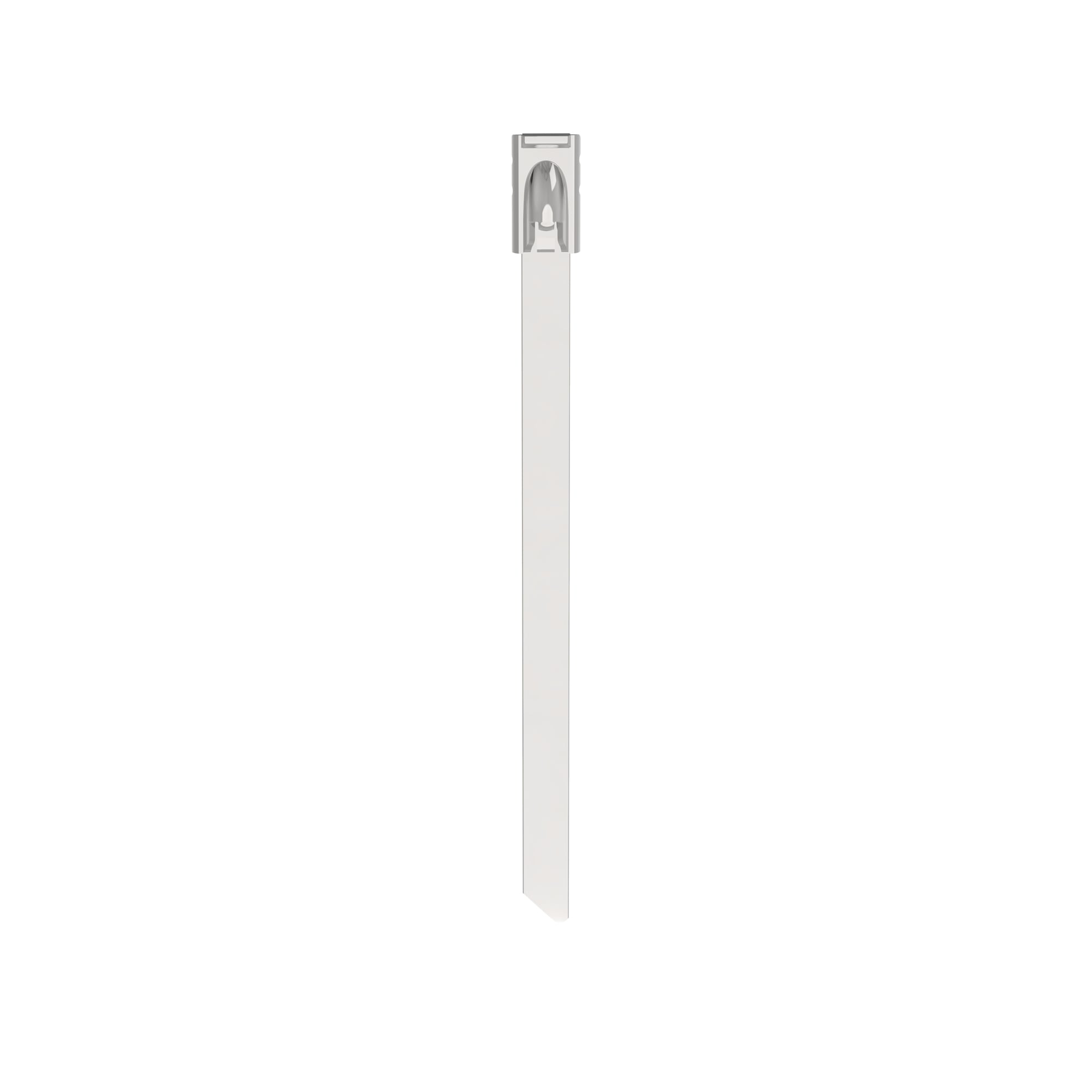Pan-Steel MLT1S-CP316 Cable Tie, SS 316, Standard, 1" Dia., PK100