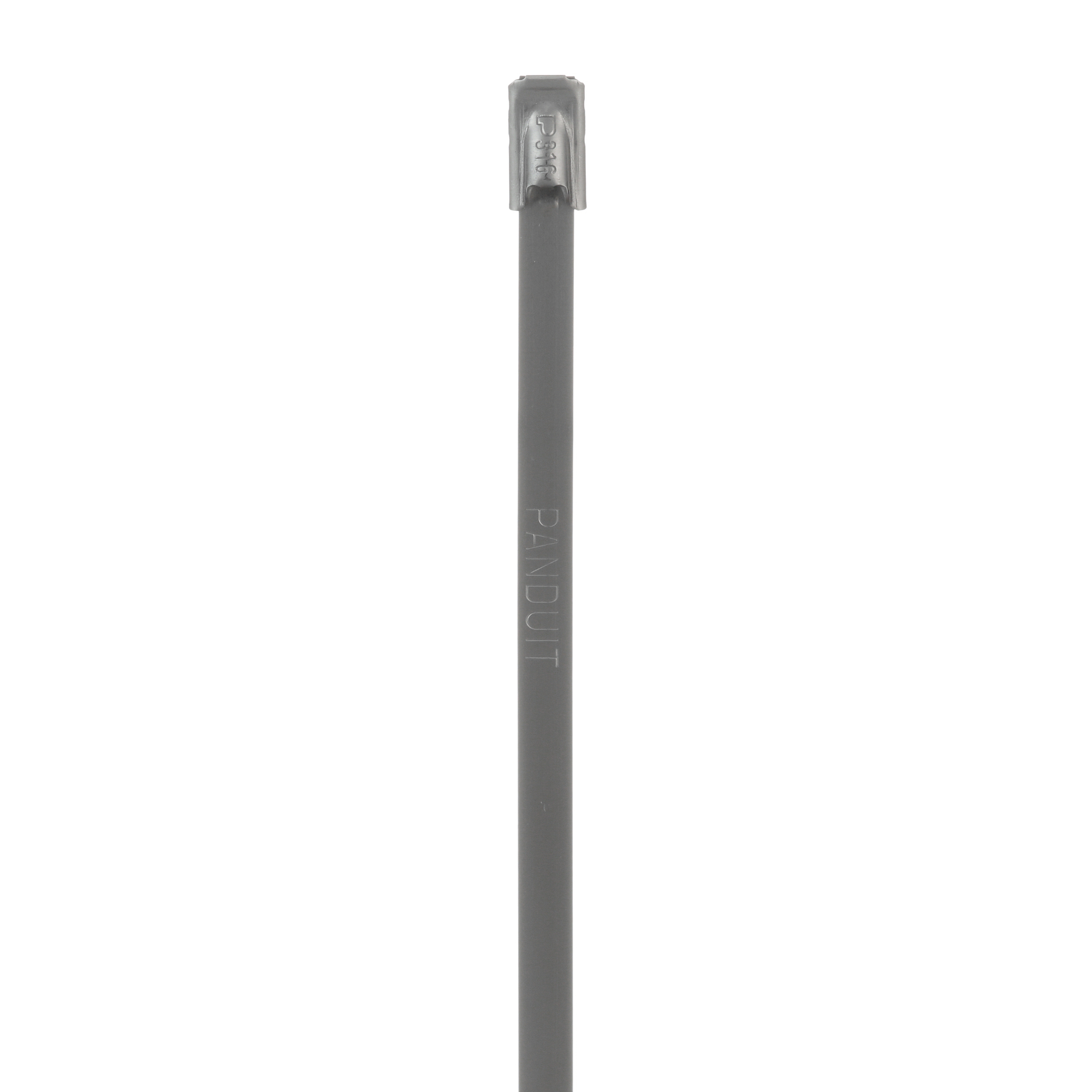 Pan-Steel MLT2S-CP316 Cable Tie, SS 316, Standard, 2" Dia., PK100