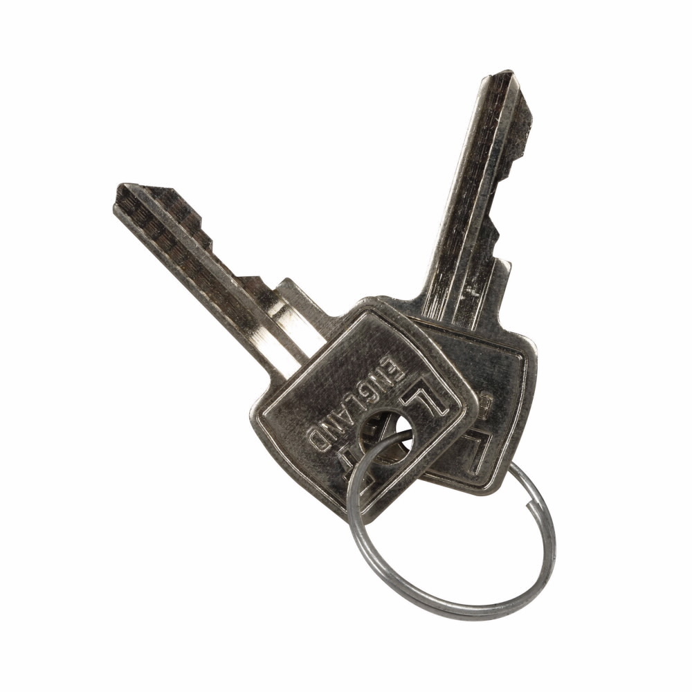 E22KS2 Heavy Duty Non-Metallic Spare Key, 5 in L x 4 in W, Standard/Master Key