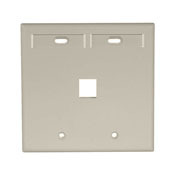 42080-1IP QuickPort Standard Size Wallplate With ID Window, 2 Gangs, 4-5/8 in W, Plastic, Surface Mount