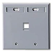42080-1GP QuickPort Standard Size Wallplate With ID Window, 2 Gangs, 4-5/8 in W, Plastic, Surface Mount