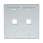 42080-2GP QuickPort Standard Size Wallplate With ID Window, 2 Gangs, 4-5/8 in W, Plastic, Surface Mount