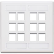 42080-12W QuickPort Standard Size Wallplate With ID Window, 2 Gangs, 4-5/8 in W, Plastic, Surface Mount