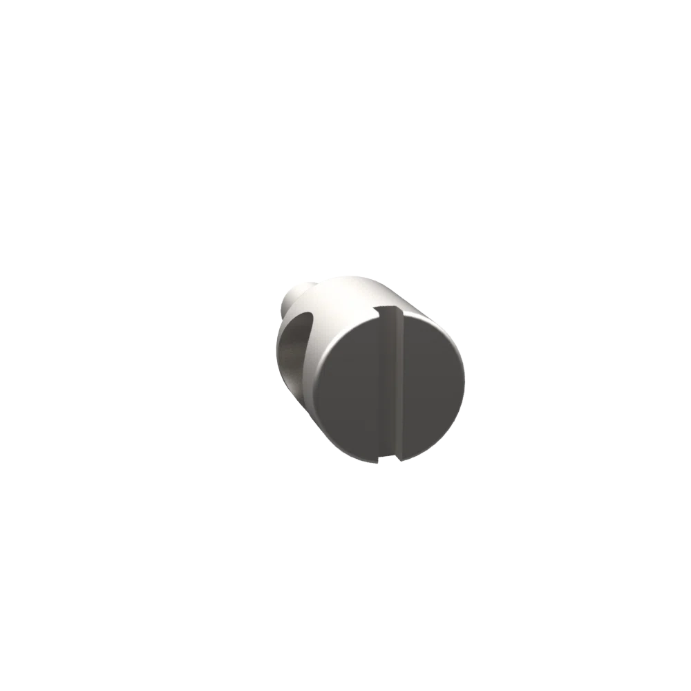 SS