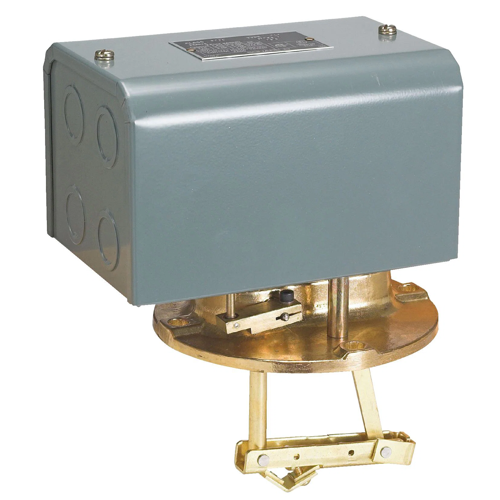 9038DG10 2-Pole Type D Float Switch, 575 V AC