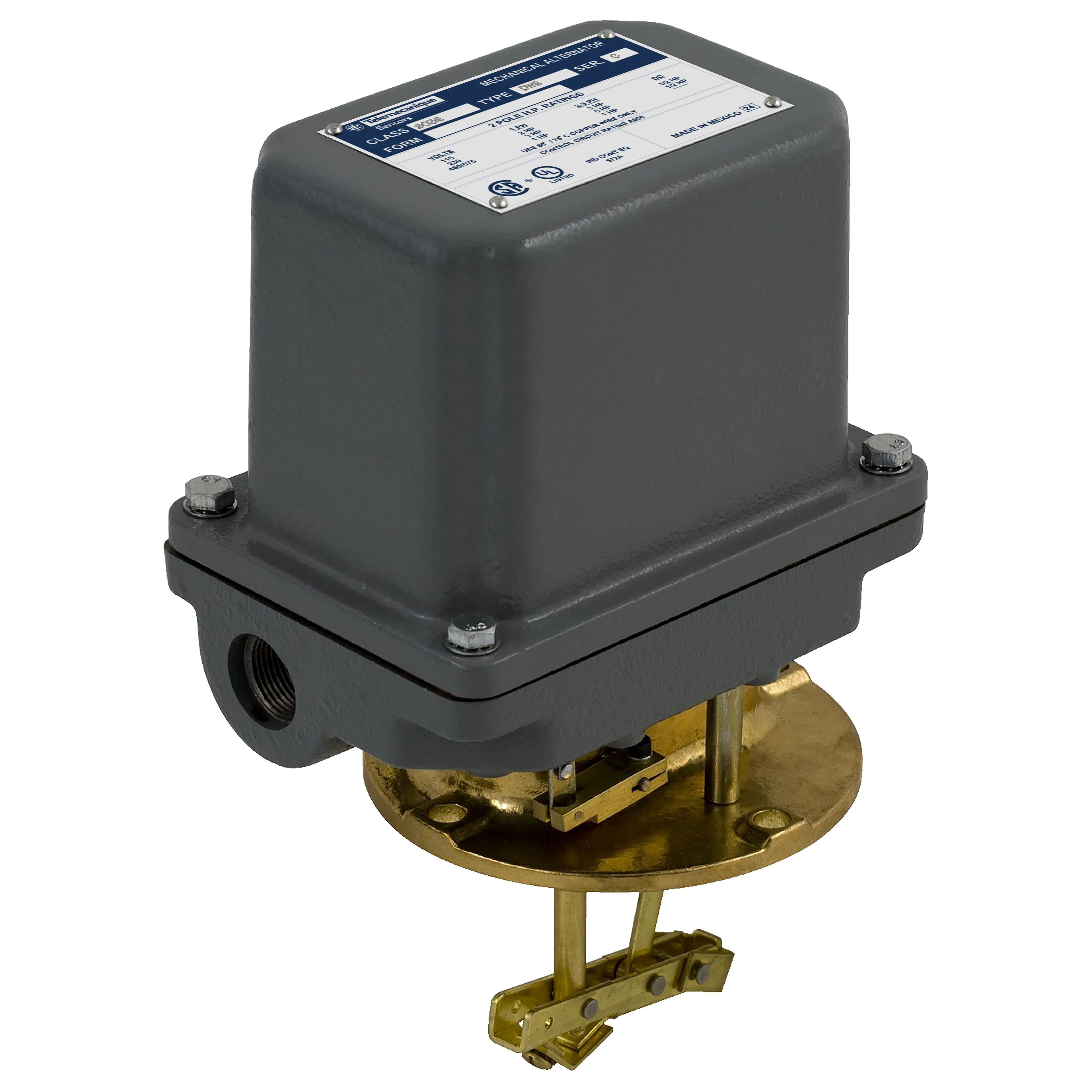 9038DR8 2-Pole Type D Float Switch, 575 V AC